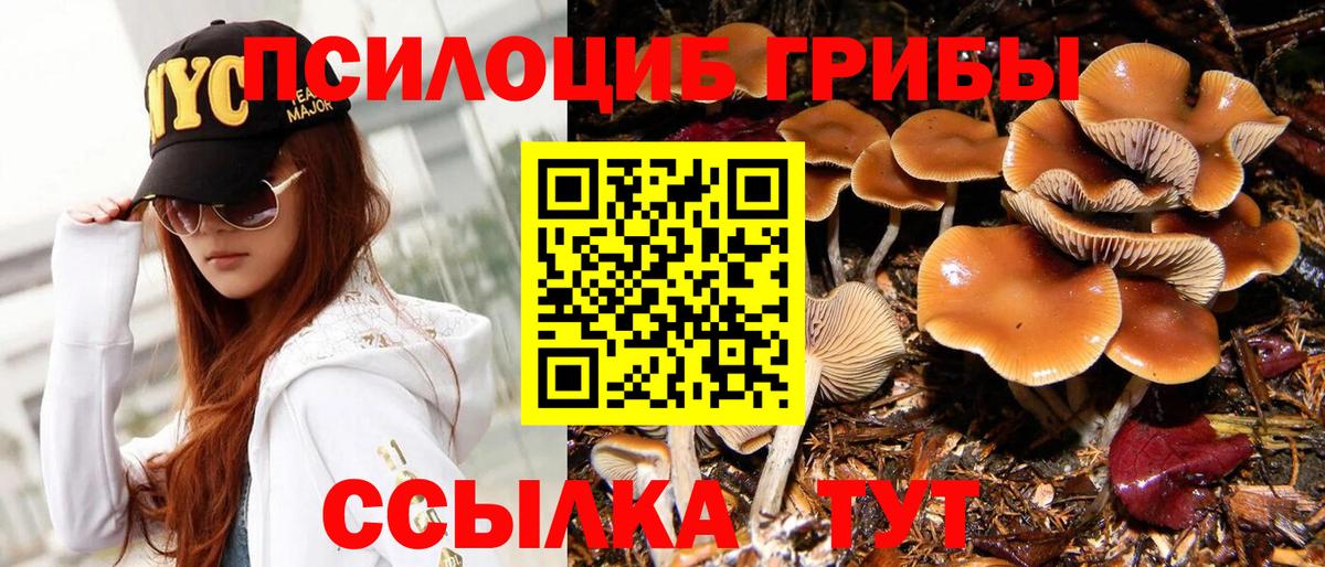 Псилоцибиновые грибы мухоморы  Вход с VPN  Реж 